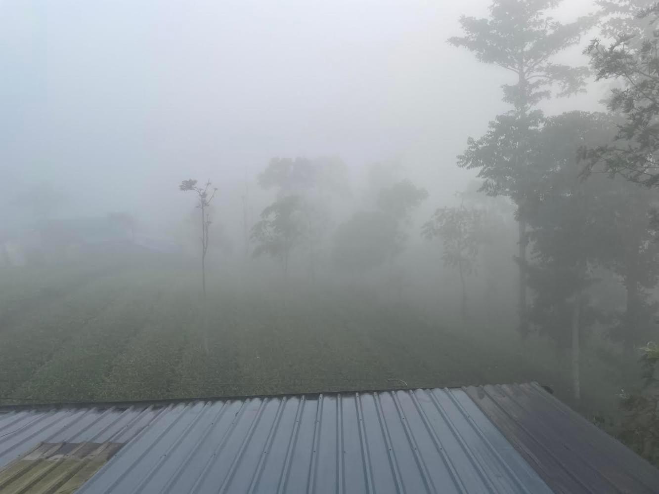 Best Mist Идуки Екстериор снимка